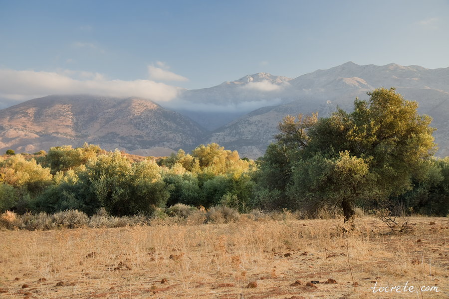 Дорога Мескла-Зурва. Западный Крит. 15 августа 2021