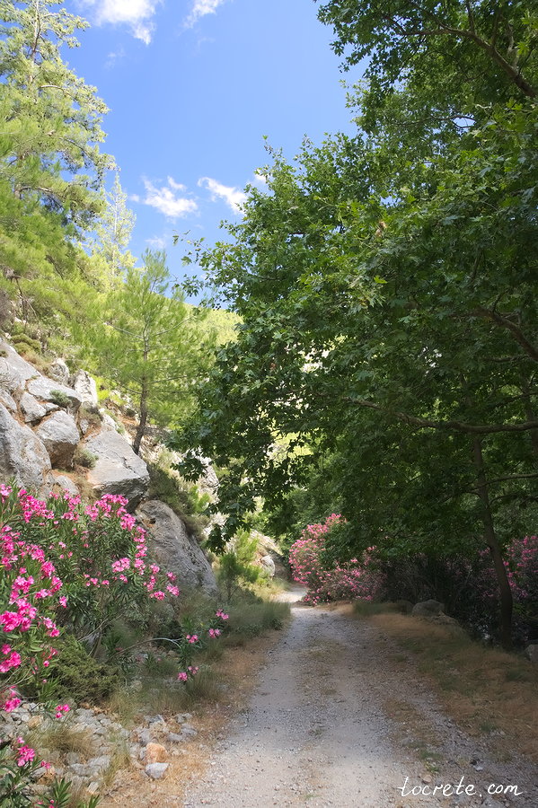 Ущелье Агиа Ирини (каньон Святой Ирины). Западный Крит
