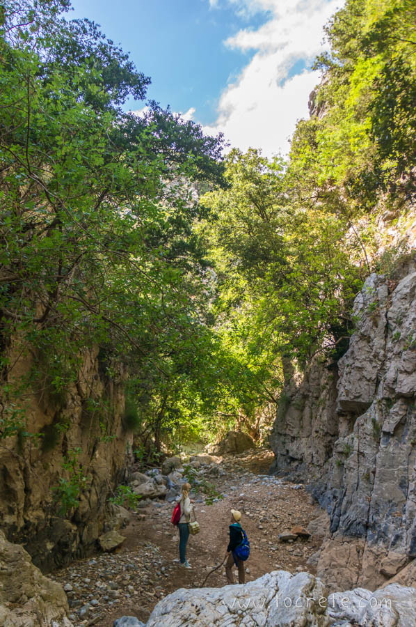 Ущелье Коллита. Крит